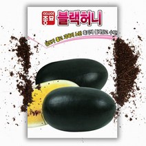 블랙 허니 수박씨앗 (10립) 블랙 망고 흑피수박 종자