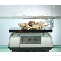 두홍 물방개 3kg 1g 단위 완전 방수 전자 저울