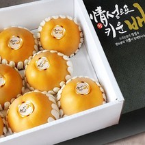 프리미엄 꿀 나주배 신고배 가정용 선물용 과일 햇 배 설 추석 명절 선물 세트 한박스 5kg 7.5kg 15kg, 1. 나주 신고배 5kg 8~10과 내외(가정용)