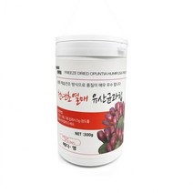 국산 천년초 열매 가루 줄기 유산균 천년초 분말 300g, 상세페이지 참조, 상세페이지 참조