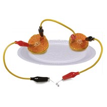 과일전지 만들기(고휘도발광다이오드) 1인용