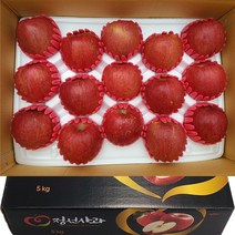 정선 아라리농원 진심어린사과 부사 홍금 홍로 꿀사과 5kg 선물세트, 선택8) 가정용 25과