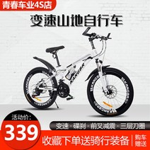 풀샥MTB 입문용 산악자전거 성인 초등생 남녀원단차 청소년 변속차 더블 디스크 20인치, 01 21속