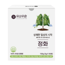 유비무환 정화 기관지 폐 목 좋은 음식 도라지 금은화 환, 정화 실속 패키치형 1BOX