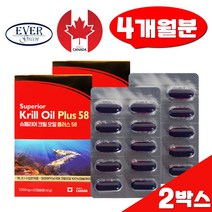 키틴 아스타잔틴 슈퍼 비타민E 인지질 남극해 크릴오일 1000mg 플러스 60캡슐 2박스 EPA DHA