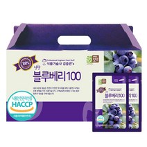 네오팜 식품기술사 김종관's 블루베리 100, 80ml, 30포