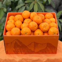 카라향 제주 감귤 귤로향 1kg 2kg 4.5kg, 2.5kg, 대과(20-25과), 1개