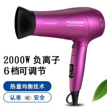 무선드라이기 드라이기 FH-6232대출력 모텔 기숙사 여행 가정용 뜨겁고찬바람 항온 학생, T02-2000w접이식 드라이기 6618