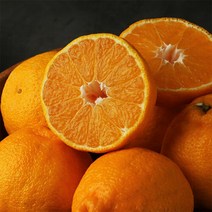 이제주몰 한섬누리 서귀포올레 한라봉 가정용 2.5kg(10-15과), 단품없음