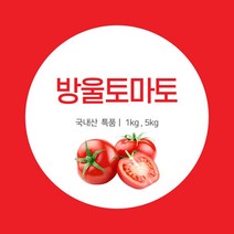 고가유통 대추 방울토마토 신선한 싱싱한 맛좋은 국내산, 5kg, 1개