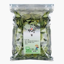 산야꾸지뽕 꾸지뽕잎 100g, 1개