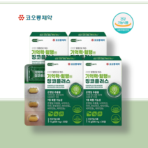 혈액순환 개선제 촉진 기억력 감퇴 향상 징코플러스, 2개(60정)