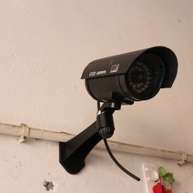 가드온 LED 모형 감시카메라 가정용 업소용 추천 ZVN00327KB, 제목색상또는랜덤