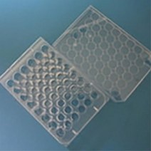 초등 과학 영재반 화학반응 실험용 투명 48홀 홈판 2개 실험기자재 학원