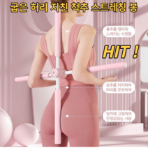 척추 스트레칭봉 허리아플때운동 허리통증완화방법 굽은등 교정기 거북목교정 바른자세 체형자세, BLUE