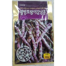 호랑이콩씨앗30g 호랑이강낭콩 얼룩이 덩굴 미래종묘, 1개