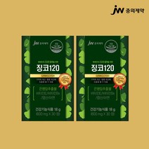 징코 120 혈관청소좋은약 혈행 순환 개선 기억력 개선에 도움을 줄수 있음 엽산 혈액 생성에 필요 영양제 은행잎추출물 비타민E 비타민B6 아연, @#@$___2통