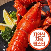 100% 자연산 캐나다 자숙 랍스터 (2마리 800g), 1600g, 2개