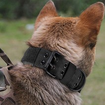 도매창고 전술목줄 훈련용목줄 목줄, 밀리터리 그레이