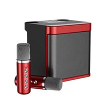 서브우퍼 스피커유닛 100W YS-203 휴대용 전문 가라오케 듀얼 마이크 블루투스 스피커 무선 스테레오베이스, 01 YS-203 Red