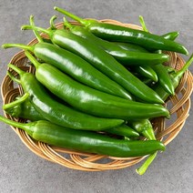 국내산 오이맛고추 10kg 5kg 2kg 1kg내외 오이고추 상품 특품, 1kg 특품, 1개