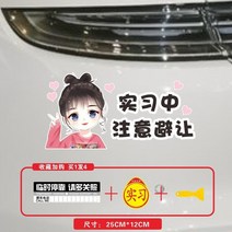 스티커 실습 차량 푸조 기간 제시 개성적인 웃긴 자동차엠블럼, T18-비에이 여아 주의사항 사양 블랙글자