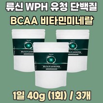 WPH WPC 류신 루신 유청 단백질 로이신 구아검 BCAA 가수분해 근육 증가 결합조직 저분자 순수 웨이 헬스 프로틴 푸로틴 프로테인 보충제 가성비 이소류신 발린 필수아미노산 쉐이크 파우더 고함량 가루 (500g/1통)
