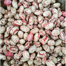 국내산 호랑이 강낭콩 1kg 2023년 첫수확 햇껍질 얼룩이콩 껍질 껍질콩 호랑이콩 콩, 1개