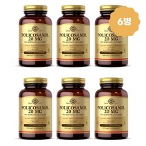 솔가 폴리코사놀 20mg 베지 캡슐 100정 6병 사탕수수 추출 솔땡 고약사, 6개