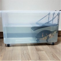 꼬북랜드 대형 거북이 플라스틱 어항 수족관 (일반형), 일반형수조