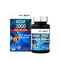 캐나다 MSM 2000 엠에스엠 1500mg 60정, 단품, 단품