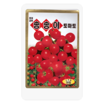 송송이미니토마토씨 50립 미니토마토 두리 씨앗 동원종묘