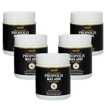 호주 오리진에이 프로폴리스 6000mg 180캡슐x5통 비타민E 고함량