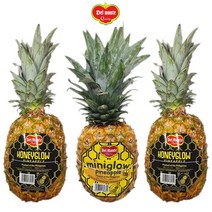 델몬트 고당도 허니 글로우 미니 글로우 파인애플 3.6kg 12kg, 허니글로우/3수/3.6kg내외