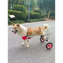 강아지휠체어 뒷다리 재활훈련 반려동물 보행기 애견 보조기 장애견 산책, C. 4륜 M(18-26파운드) 긴 다리 건조