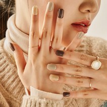 엔프엔프 14종, 브리잔떼 세피아