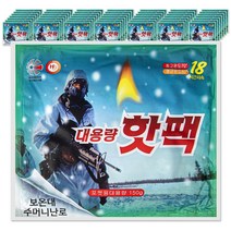해피데이 포켓형 대용량 핫팩 150g, 700개