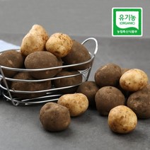 친환경 강원도 감자 중품 3kg, 1개