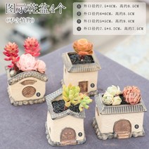 다육화분 다육이 심폴 화분 식물 미니 화분세트, 도자기, 옵션28