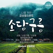 다온폰트 타이핑치는 캘리그라피 소담구름 1개월 쿠폰(윈도우전용), DAON SODAM CLOUD / 1