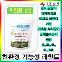 PH272991 미라클 미라클03/기능성/페인트/1L/아파트베란다/결로/곰팡이방지/무취/친환경페인트/도매/소매 유성페인트 방수페인트 친환경페인트 노루페인트 삼화페인트 에나멜페인트 외벽페인트 펜톤페인트 벽지페인트 핸디코트, 단일 수량