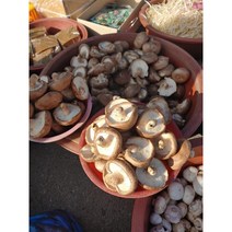 국내산 못난이 생 표고버섯 1kg / 건 표고버섯 100g 산지직송, 파지 1kg