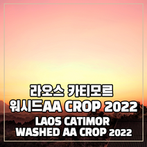 (커피생두) 251 라오스 카티모르 워시드AA CROP 2021 500g