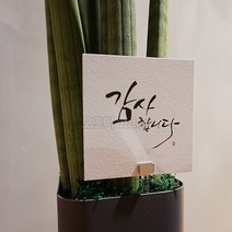 오즈디 개업 화분 소화기 센스있는집들이선물 꽃병 화초 조화, 추가상품-메시지카드[감사합니다]