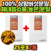 펠리누스린테우스 찔레 참나무 상화버섯 분말 스틱 부모님 어머니 아버지 할아버지 할머니 상화버섯차