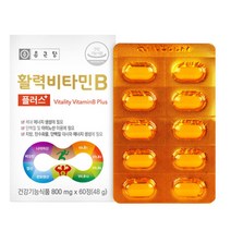 종근당 활력증진 에너지보충 비타민B 60정