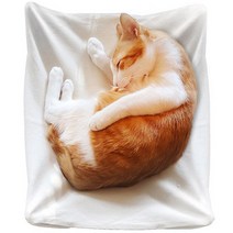꾹캣 고양이 원목 해먹 침대 쿨쿨해먹, 쿨쿨해먹 - 베이지