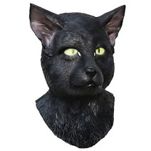 고양이 검은 마스크 가면 흰 캣 공연 무대 대학로, 노란 눈의 검은 고양이