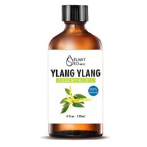 닥터월드 뷰티 아로마 에센셜오일 118ml 대용량, 뷰티 일랑일랑 에센셜오일 118ml