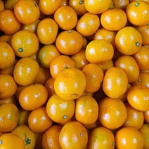 따봉이네과일 감귤, 1box, 5kg (2s)